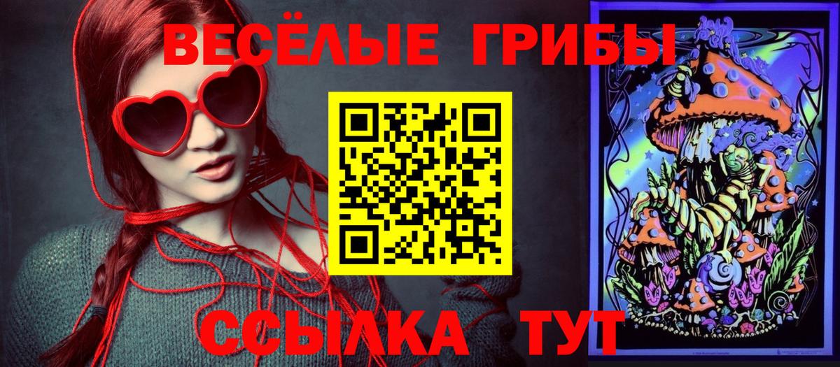 Нижний Новгород  Галлюциногенные грибы Cubensis  Вход с VPN 
